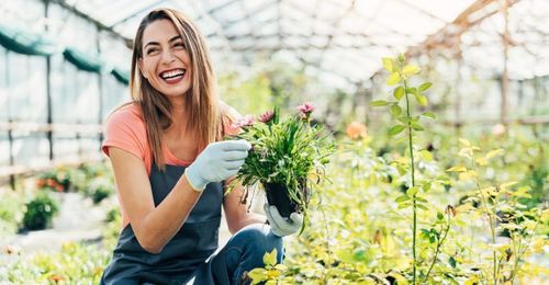 Egyszerűsített foglalkoztatás 2026