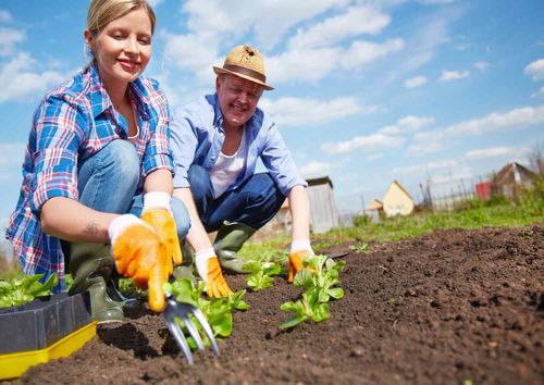 Egyszerűsített foglalkoztatás 2026