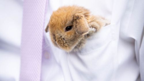 Mit hoz a húsvéti időszak, ha éppen állást keres?